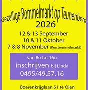 Gezellige rommelmarkt Teunenberg.